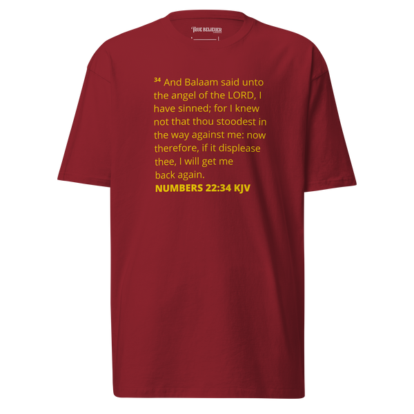 NUMBERS 22:34 KJV TEE