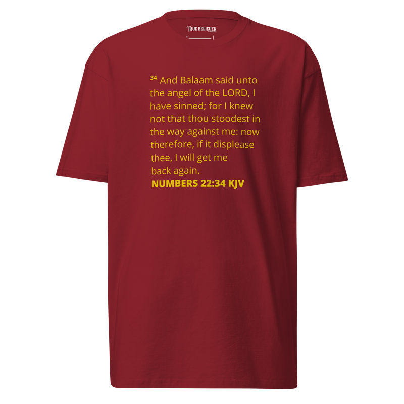 NUMBERS 22:34 KJV TEE