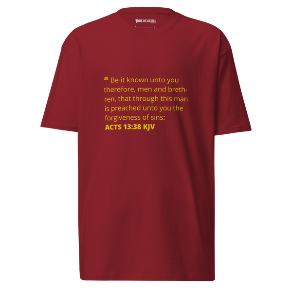 ACTS-13-38-KJV. TEE